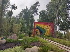 -合肥滨湖国家森林公园