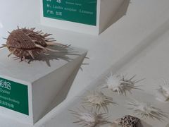 -蓬莱欧乐堡海洋极地世界