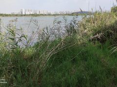 -贡湖湾湿地公园