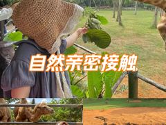 -海南热带野生动植物园