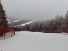 游乐设施-多乐美地滑雪场