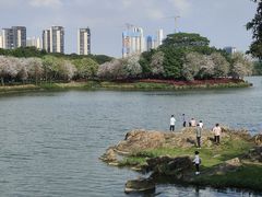 -顺峰山公园