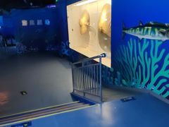 -重庆欢乐海底世界