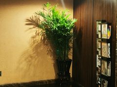 -花家怡园
