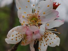 -阿忠食坊大排档·20年老店(万象城店)