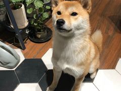 -About Bistro關於·泰式家庭料理