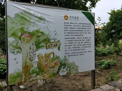 -滆湖低碳生态公园