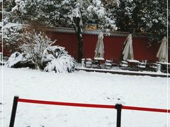-翠园十八号庭院餐厅