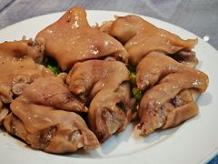 -丁老爷子苏香圆