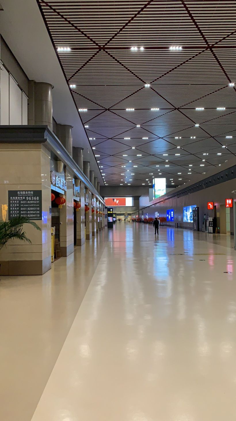 哈尔滨机场晚上照片图片