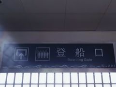 -武汉关码头(轮渡站)