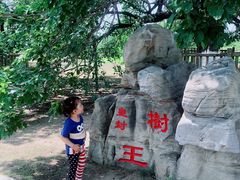 -御林古桑园