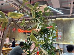 -谭三娘鲜切牛肉自助火锅(九眼桥总店)