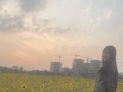 -映月湖中央公园