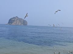 -棒棰岛宾馆景区