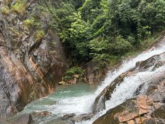 -广州白江湖森林公园