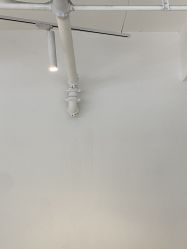 -I+造型烫发染发