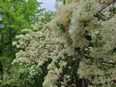 -国家植物园南园