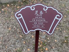 -苏州文庙(姑苏区)
