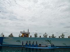 -秦皇岛新澳海底世界