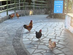 -青青世界