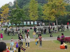 -保利石象湖景区