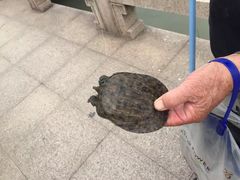 -南通濠河风景名胜区