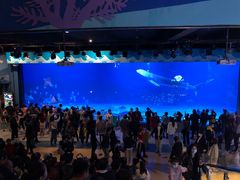 -烟台海昌鲸鲨海洋公园