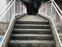 -长洲岛