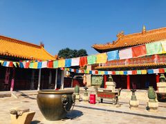 -大召寺明清一条街