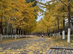 -长白岛森林公园