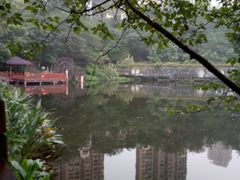 -重庆彩云湖湿地公园