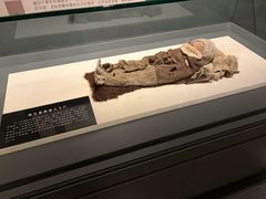 -巴音郭楞蒙古自治州博物馆