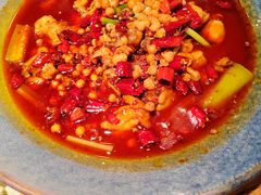 -馋嘴猫北京食堂·烤鸭·宵夜(亚运村店)