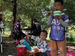 -贡湖湾湿地公园