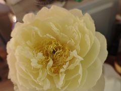 -手帕胡同-地上停车场