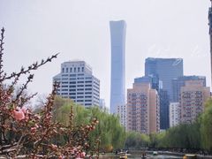 -团结湖公园