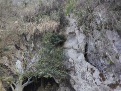 -仙岛湖旅游风景区