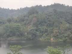 -河源万绿湖美思威尔顿酒店