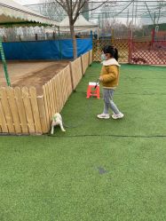 -萌宠亲子动物乐园(槐房万达店)