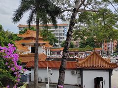 -深圳仙湖植物园