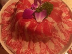 -小龙坎火锅(全球旗舰店)