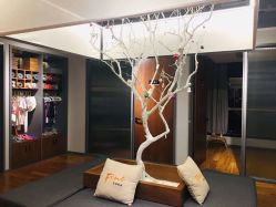 -FineYoga梵音瑜伽·普拉提