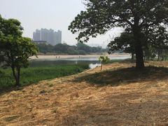 -北运河水利风景区