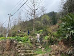 -武汉姚家山旅游景区