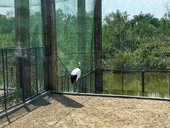 -盐城丹顶鹤湿地生态旅游区
