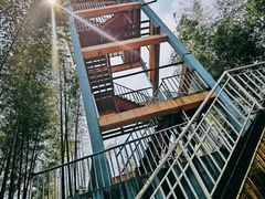 -宁波浙东大竹海景区