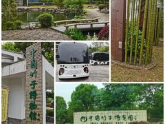 -安吉竹博园