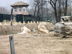 -秦皇岛野生动物园
