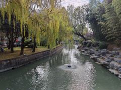 -同里湖度假村(二期店)
